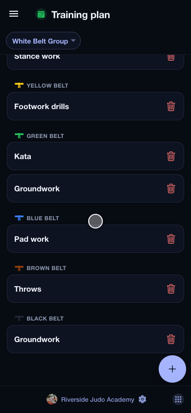 Belts, exercises, training plan